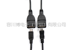 USB A母成型线